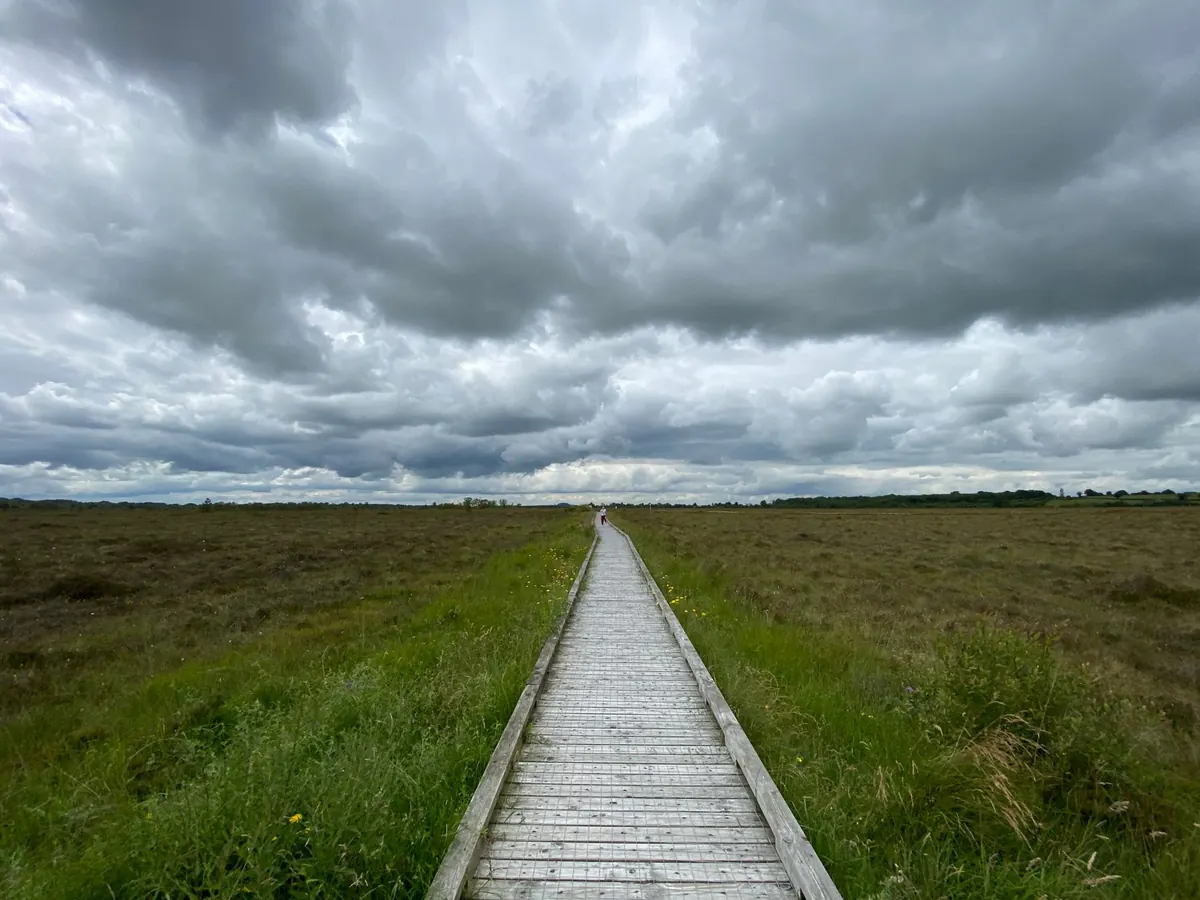Which UK National Trail Should You Walk First? A Beginner's Comparison